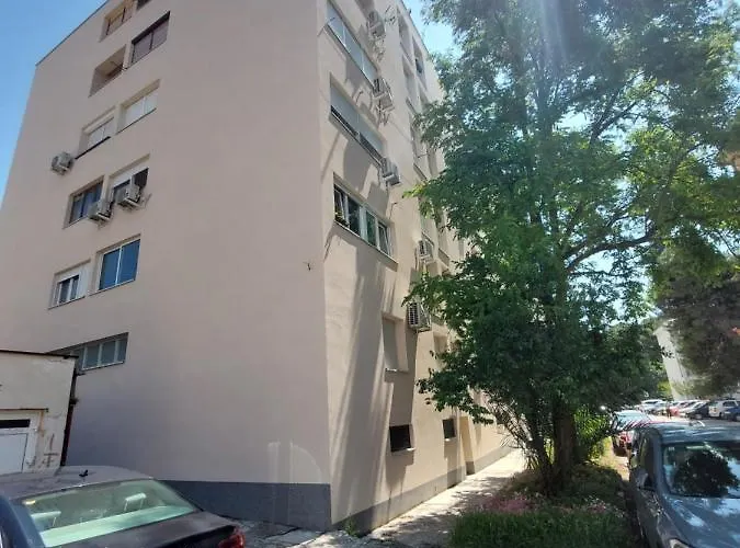 Marinero Zara