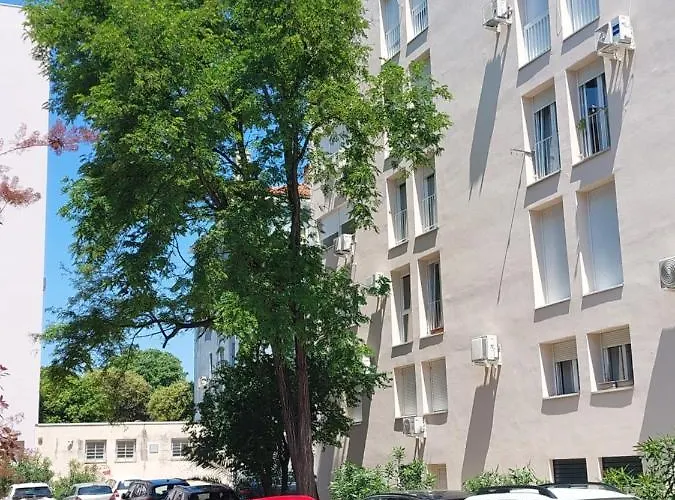 Marinero Daire Zadar